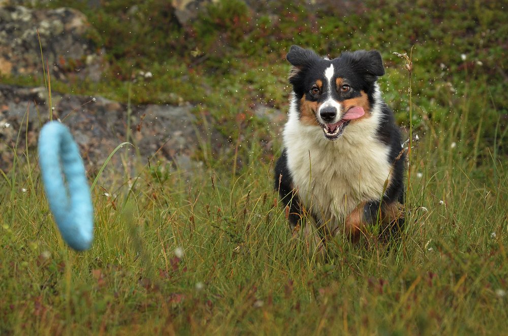 Photograph by Алина Цирмант