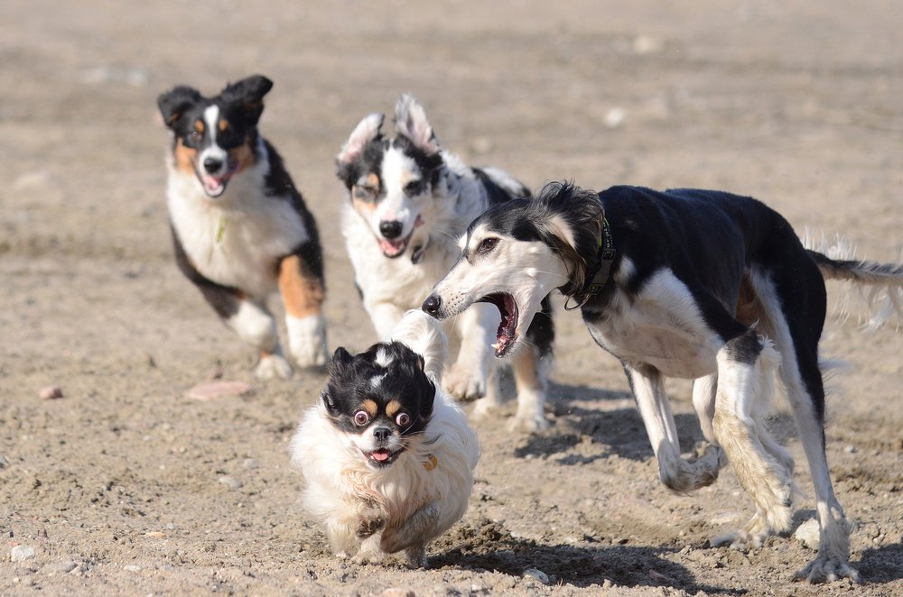 Photograph by Алина Цирмант