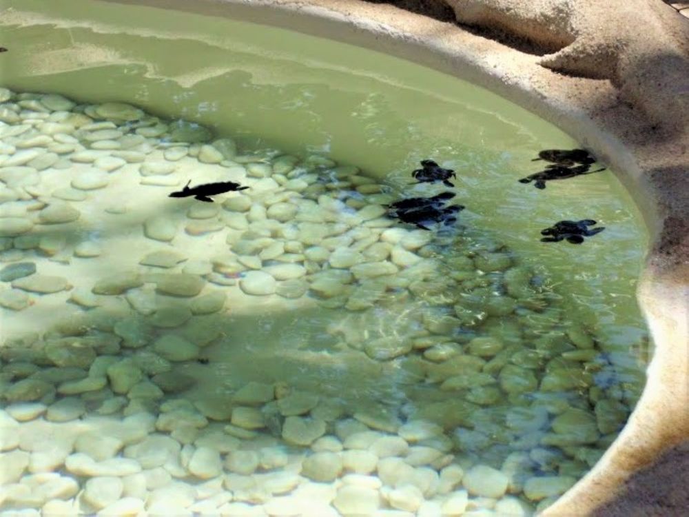 Photograph by Rosy Grass