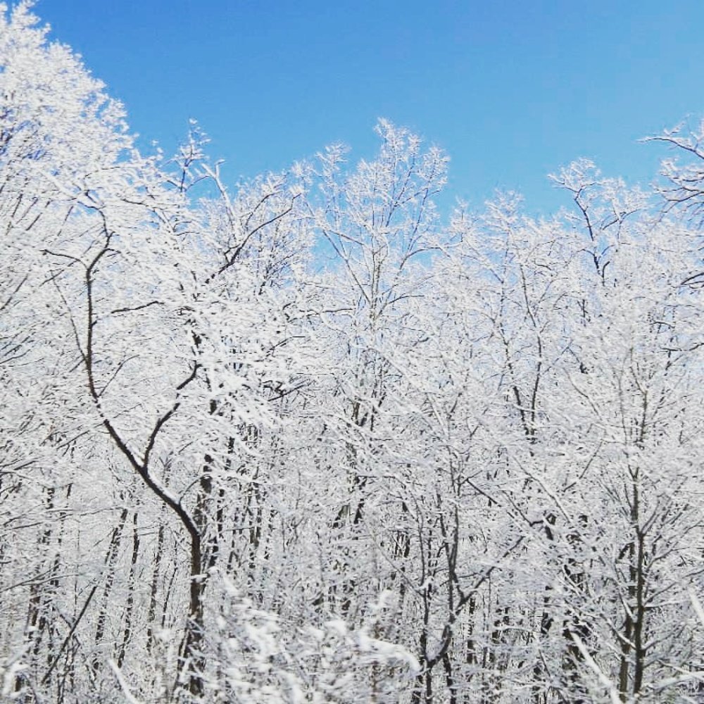 Photograph by Наталия Мухина (Ильченко)