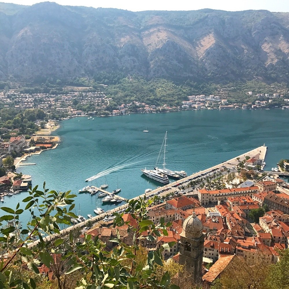 Photograph by Olga Thomas