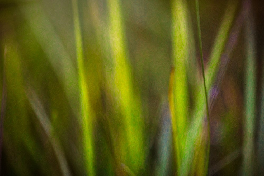 Photograph by igor kostin