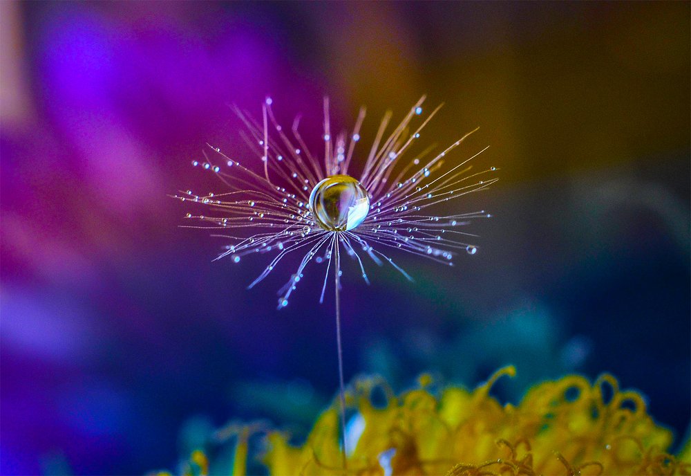 Photograph by Олеся zme