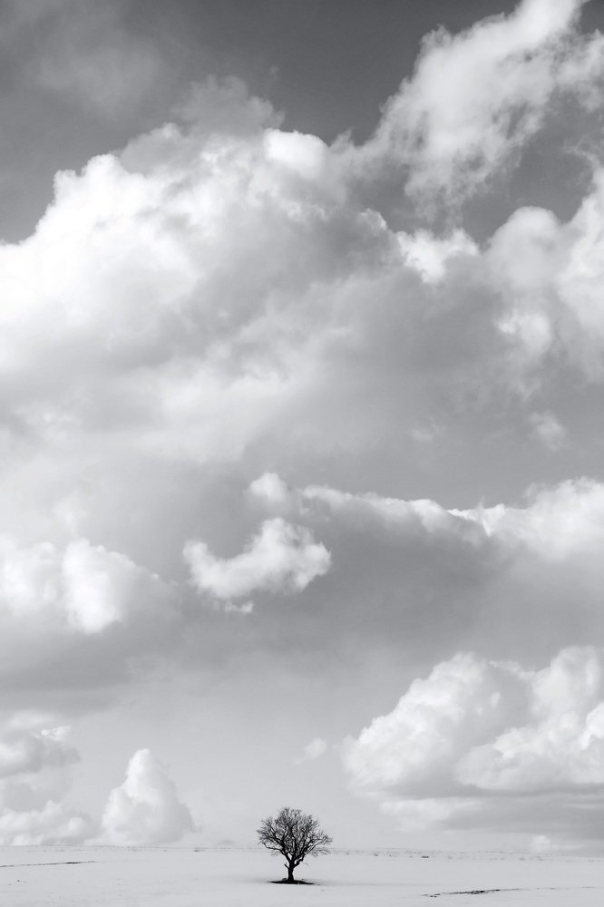 Photograph by Ebrahimi Armin