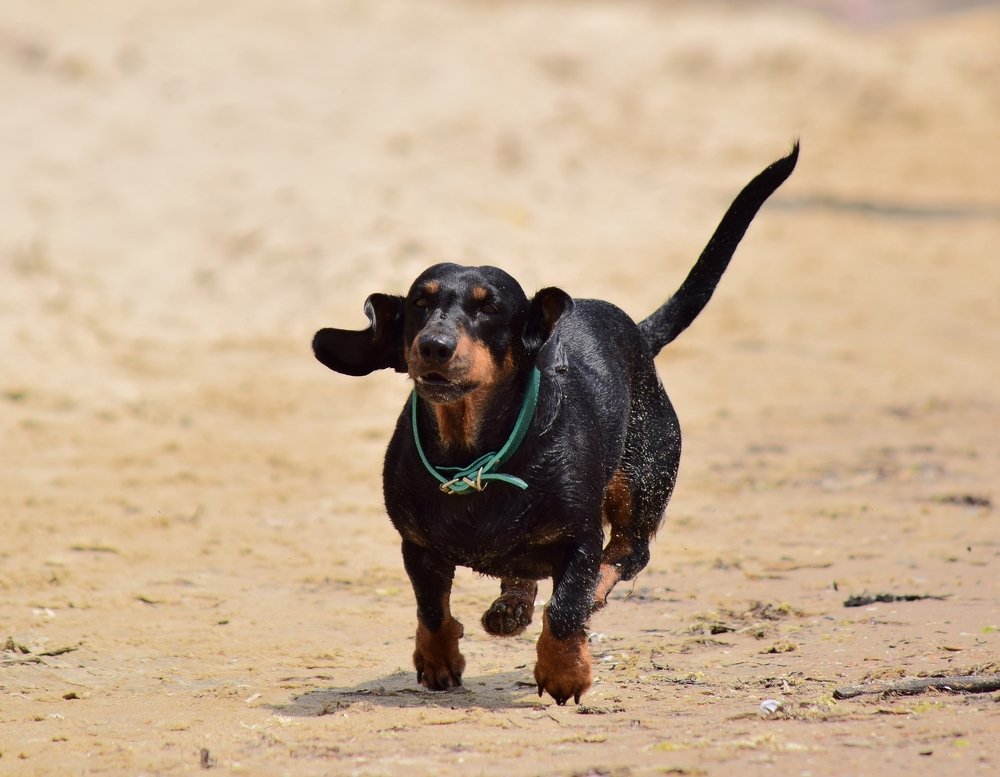 Фотография автора Альбина Хвастунова