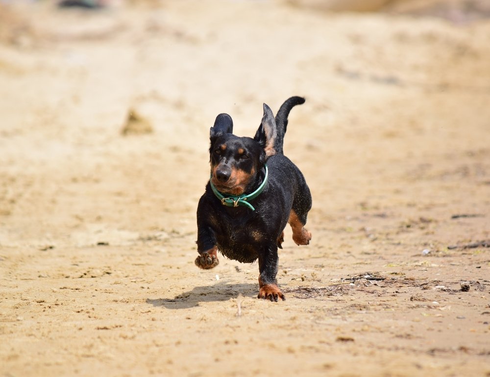 Фотография автора Альбина Хвастунова