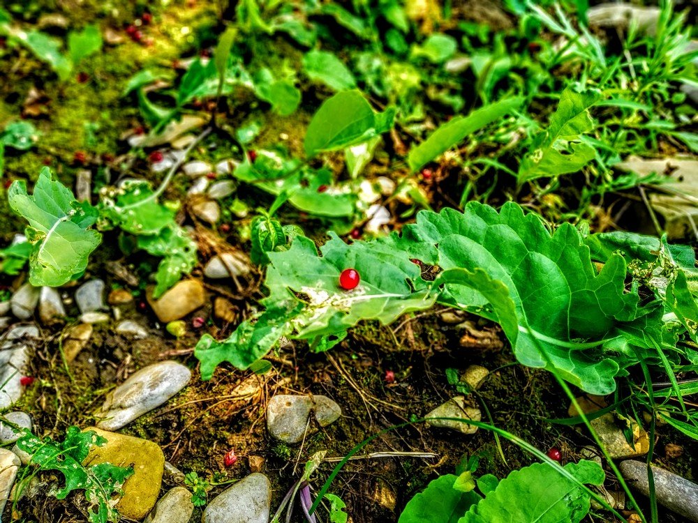 Photograph by Женя Евсеева