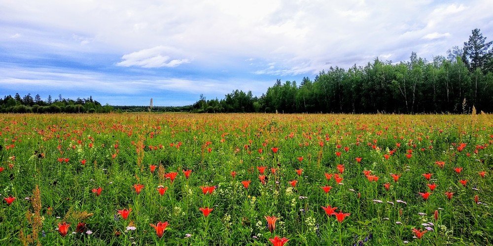 Photograph by Женя Евсеева