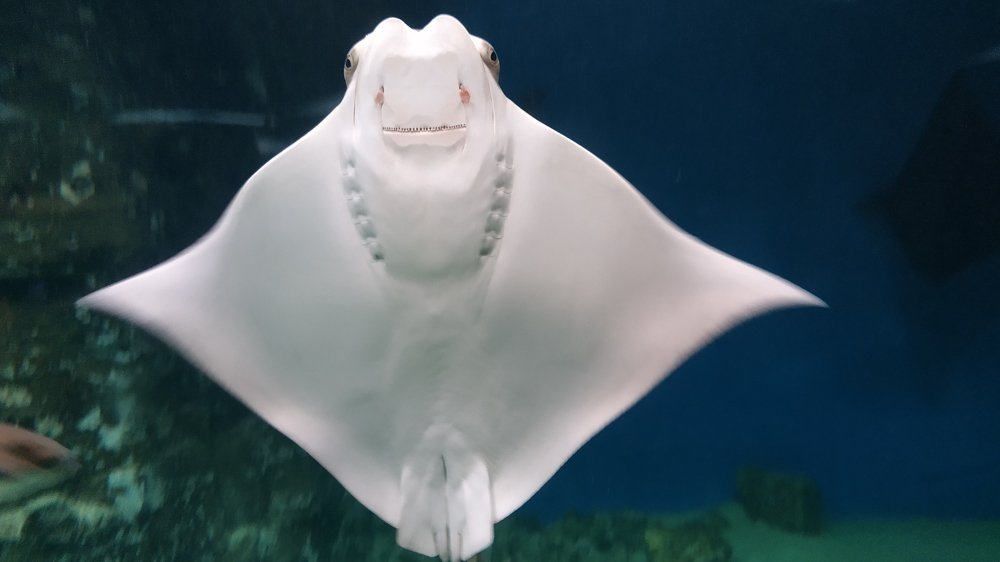 Photograph by Женя Евсеева