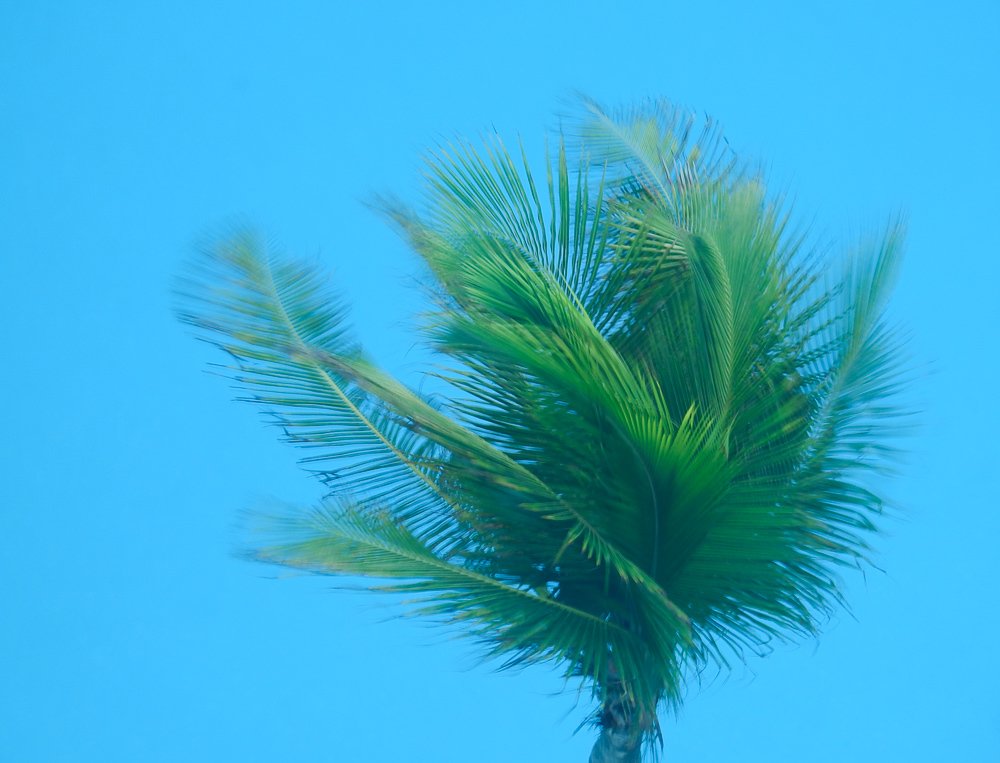 Фотография автора Gabriela Bonilla