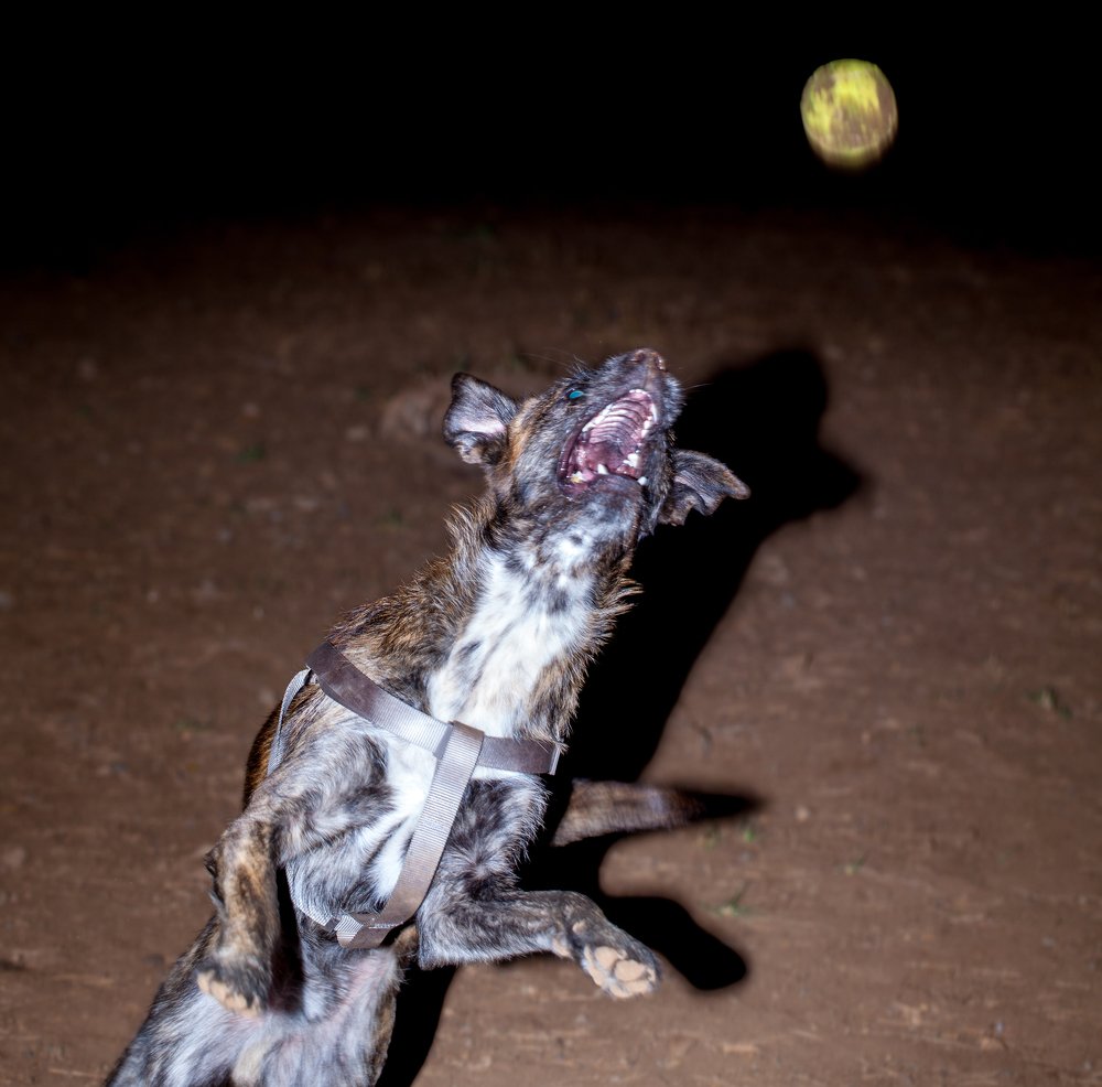 Photograph by Jose Luis Mendez Fernandez