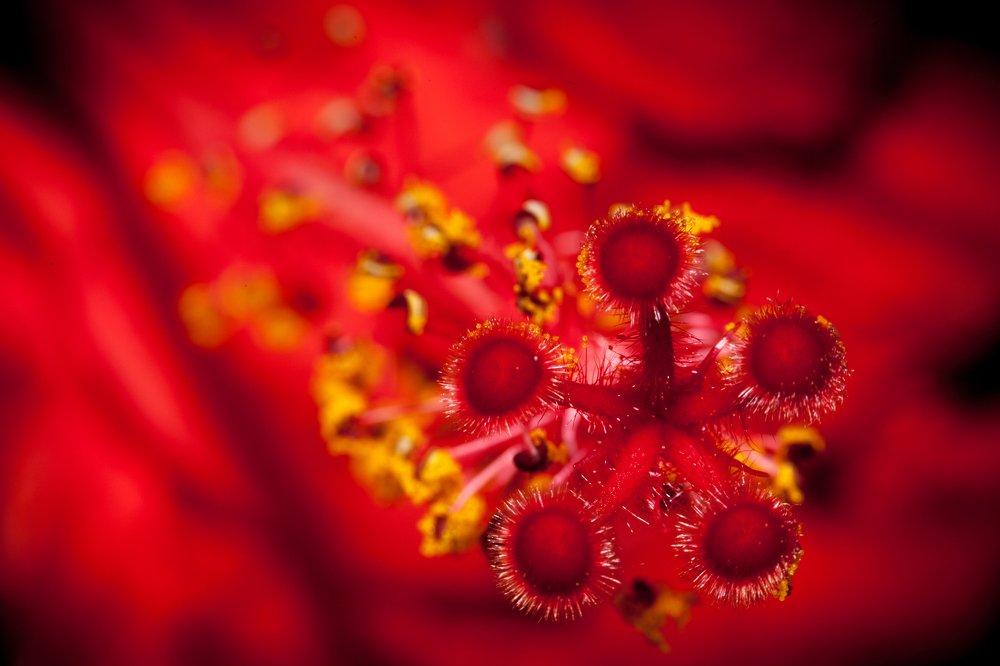 Photograph by Jose Luis Mendez Fernandez