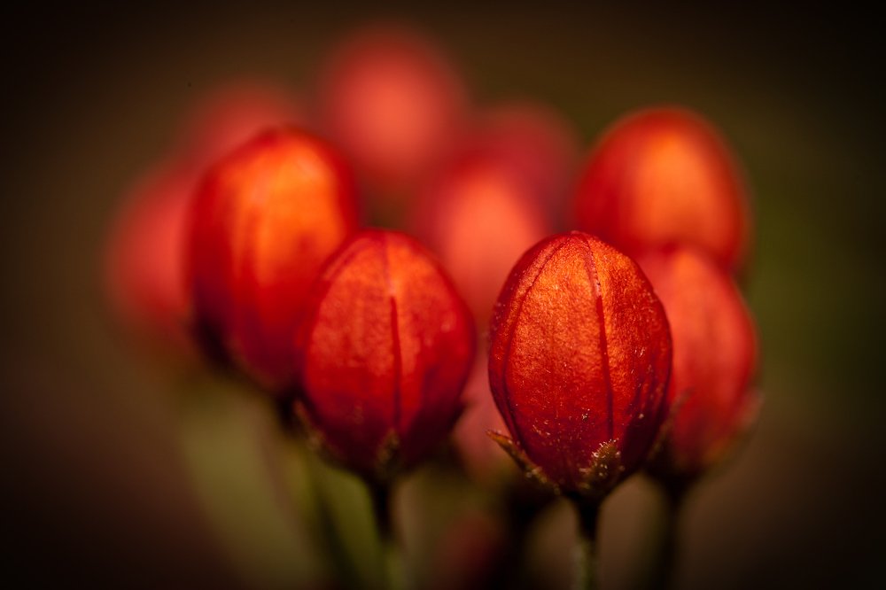 Photograph by Jose Luis Mendez Fernandez