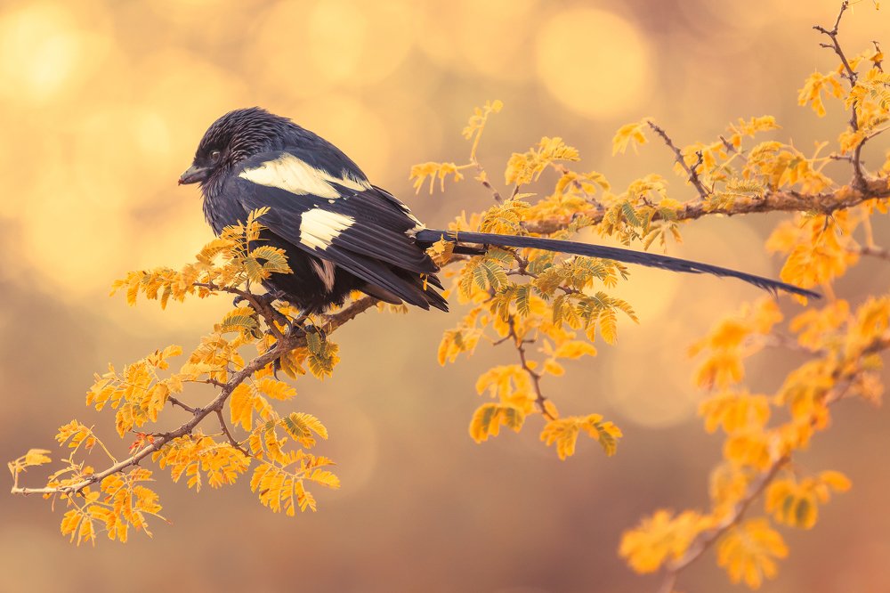 Photograph by Ali Dhanji