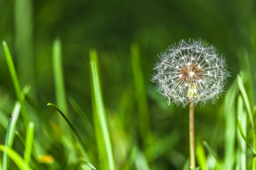 Photograph by Jose Luis Mendez Fernandez