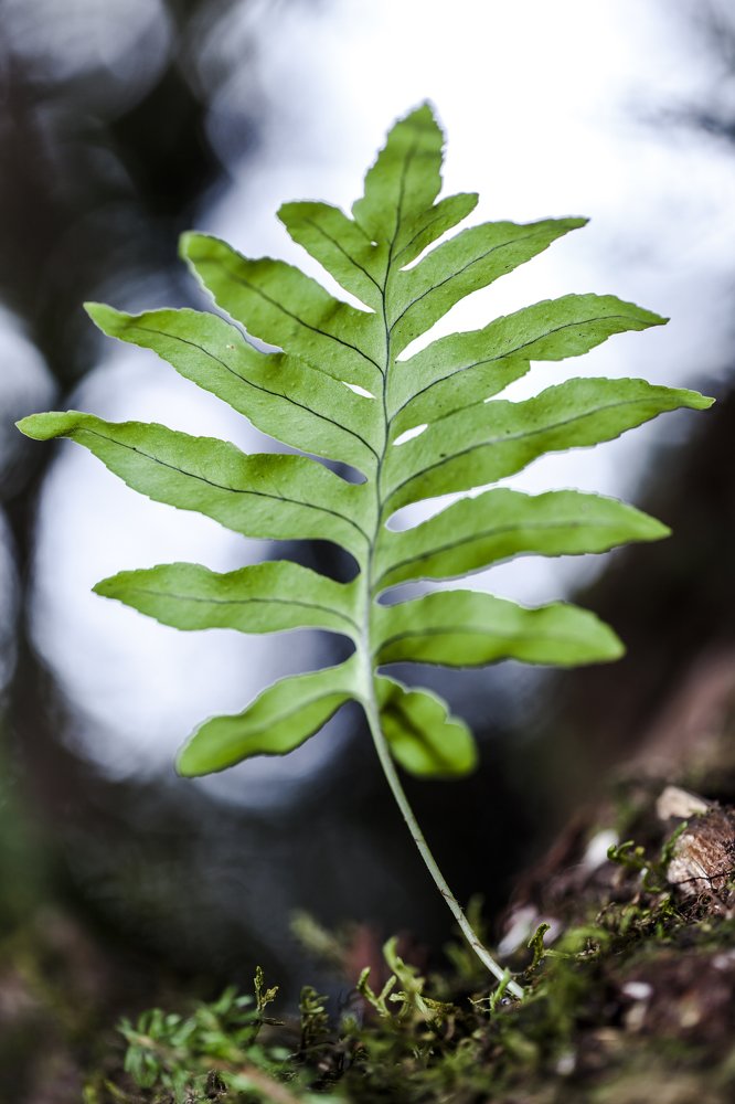 Photograph by Jose Luis Mendez Fernandez