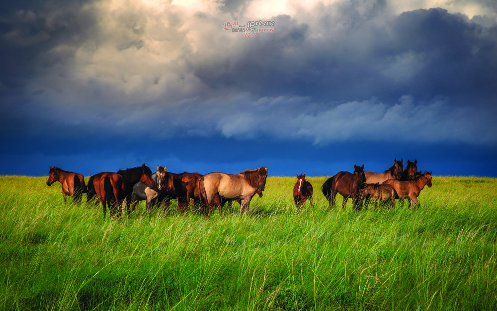 Photograph by Bat-erdene Sukhbaatar