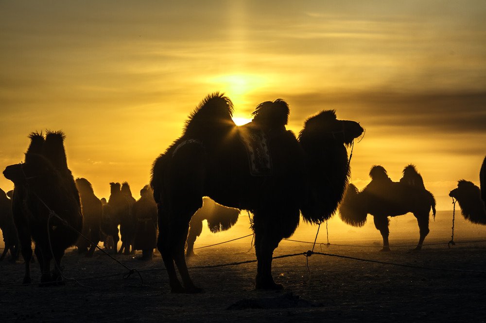 Photograph by Bat-erdene Sukhbaatar