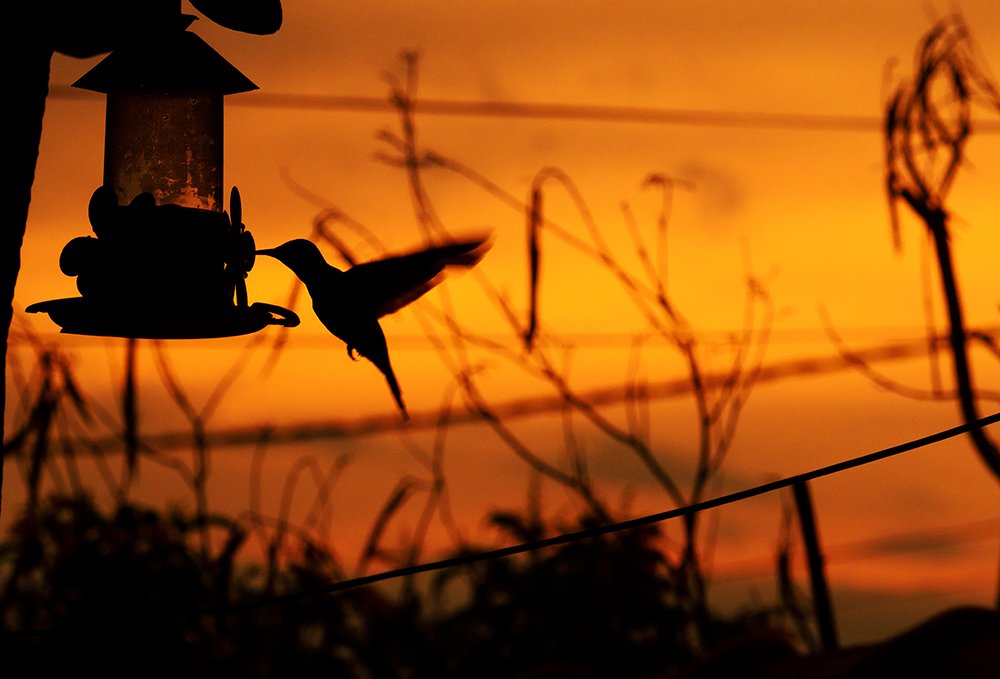 Photograph by Felipe Augusto