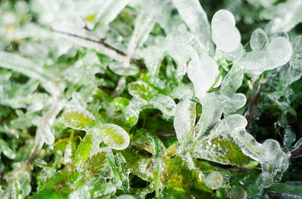 Photograph by Дмитрий Зуев