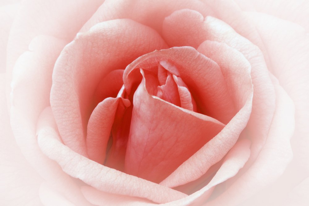 Photograph by Samantha Adams