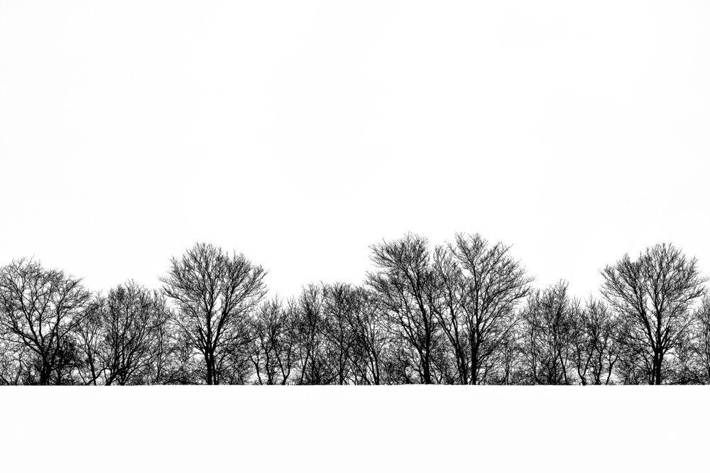 Photograph by Samantha Adams