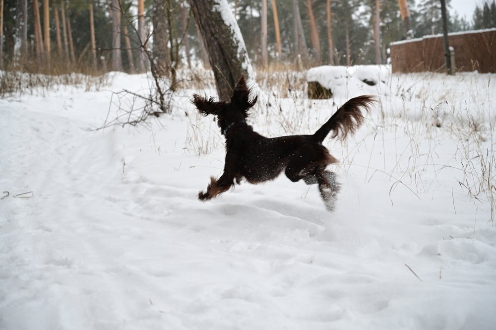 Photograph by Елена Никитина