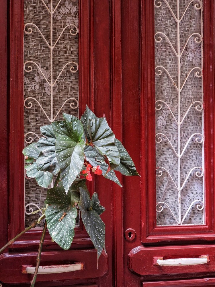 Red door