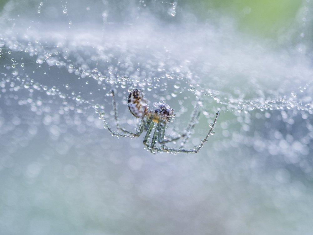 Photograph by Евгения Муравская