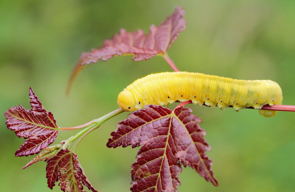 Photograph by Евгений Паршуков