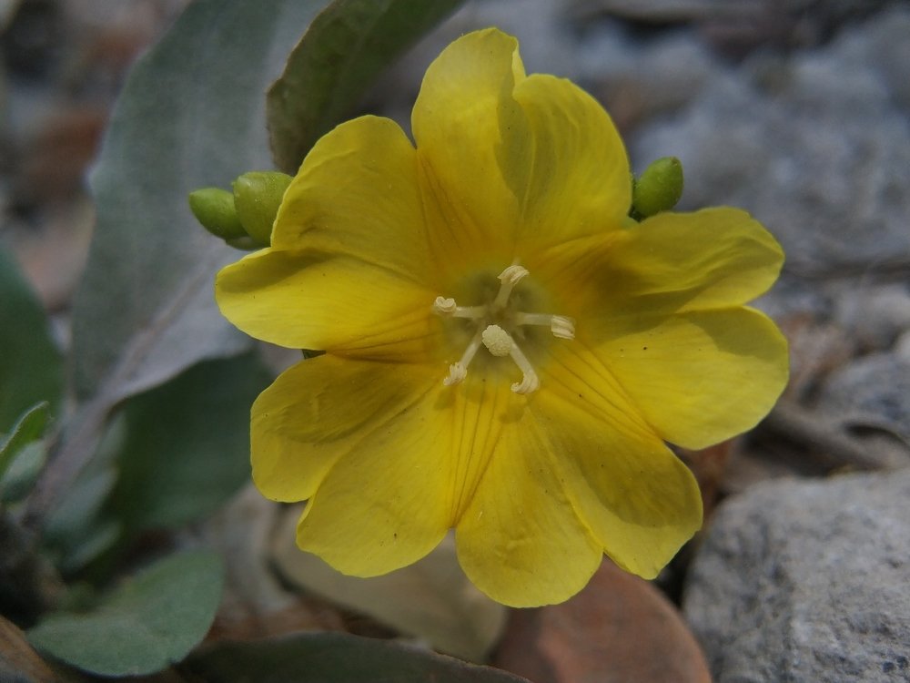 Photograph by Andriyas Muhammad