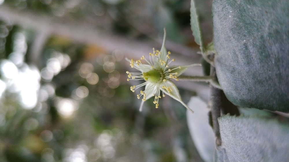 Photograph by Andriyas Muhammad