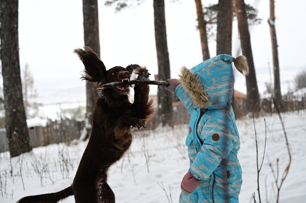 Photograph by Елена Никитина