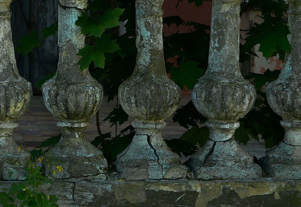 Photograph by Екатерина Ким