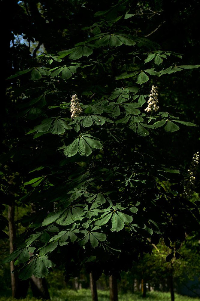 Photograph by Екатерина Ким