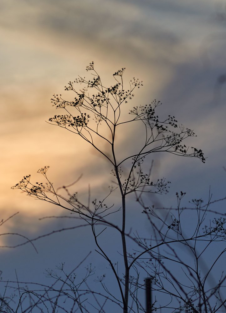 Photograph by Екатерина Ким