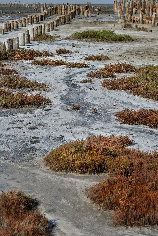 Photograph by Екатерина Ким