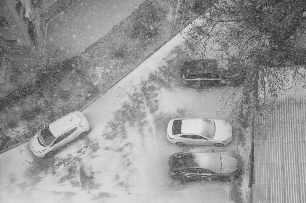 Photograph by Екатерина Ким