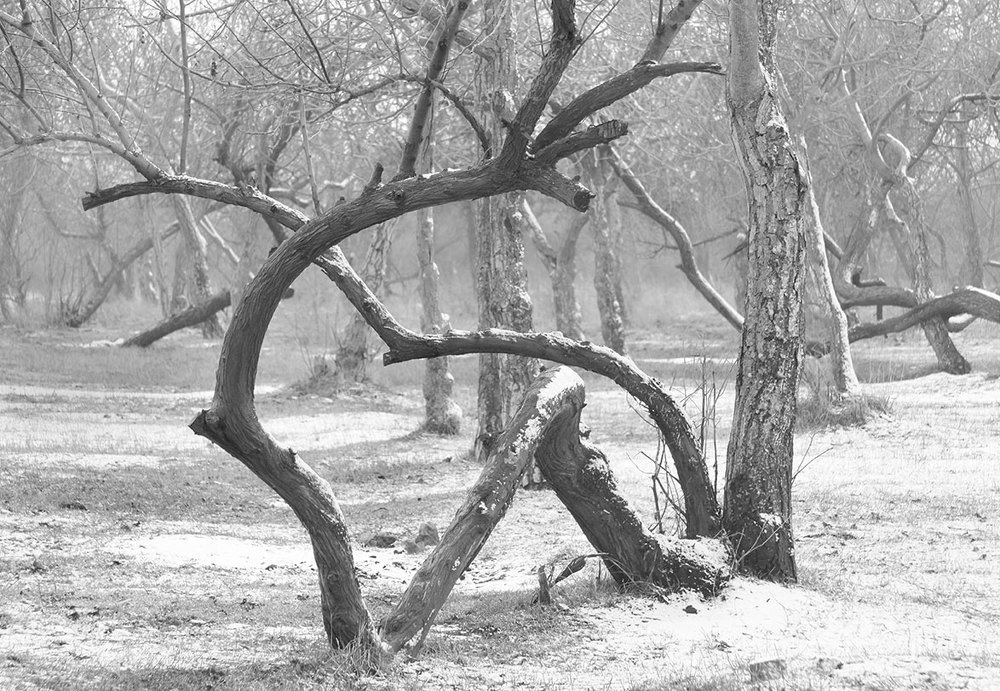 Photograph by Екатерина Ким