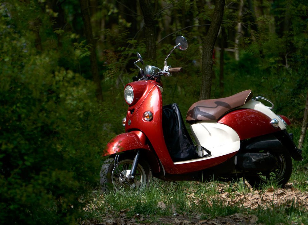 Photograph by Екатерина Ким