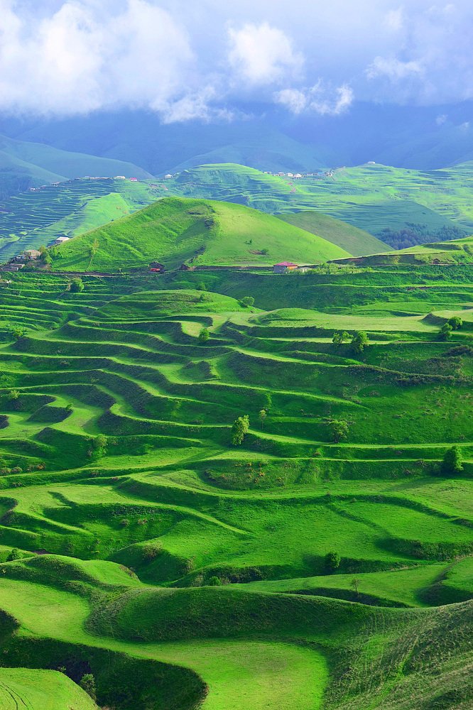 Photograph by Margo Margo