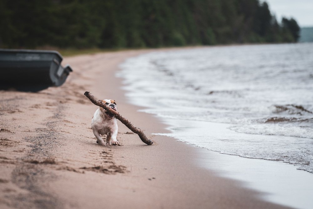 Photograph by Андрей Баскевич