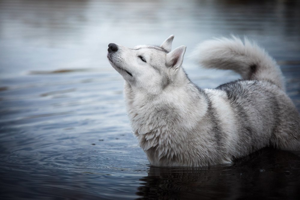В лучах осеннего солнца