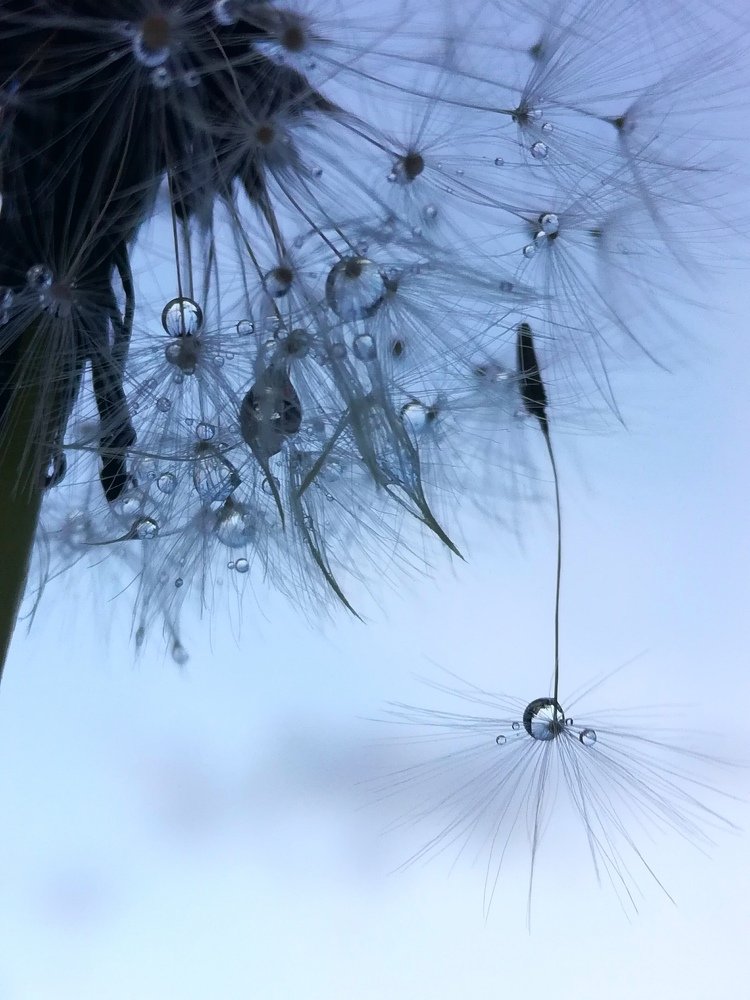 Photograph by Лилия