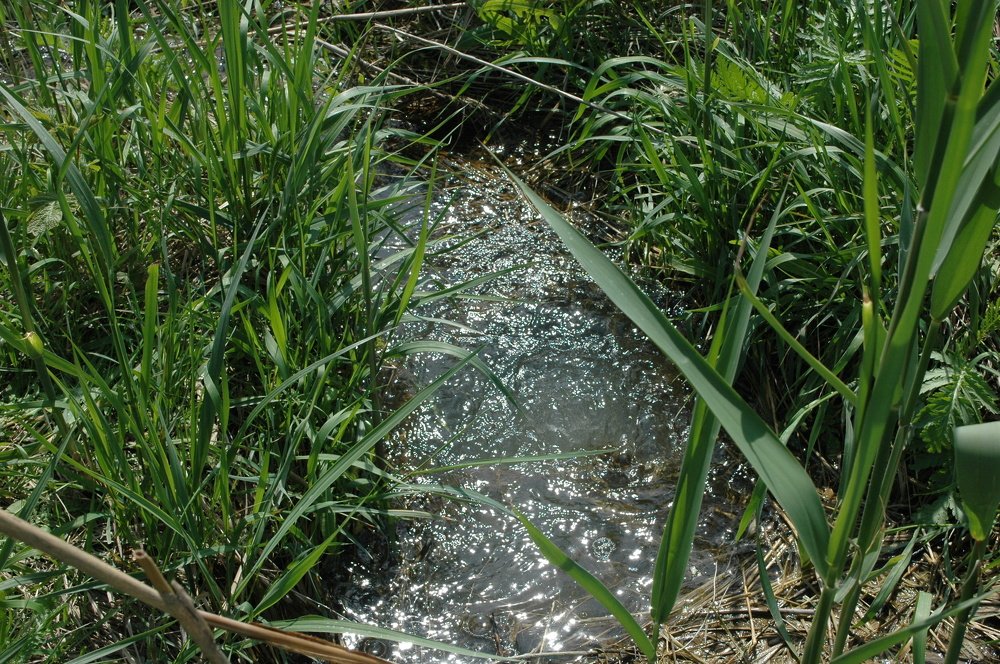 Photograph by Ирина Марченко