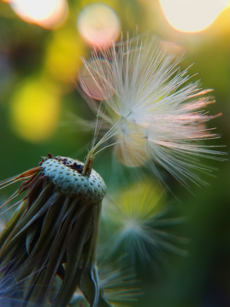 Photograph by Лилия