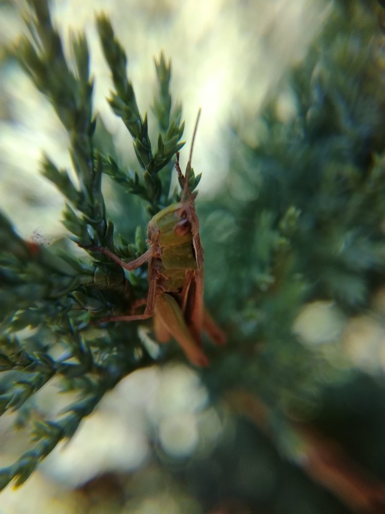 Photograph by Лилия