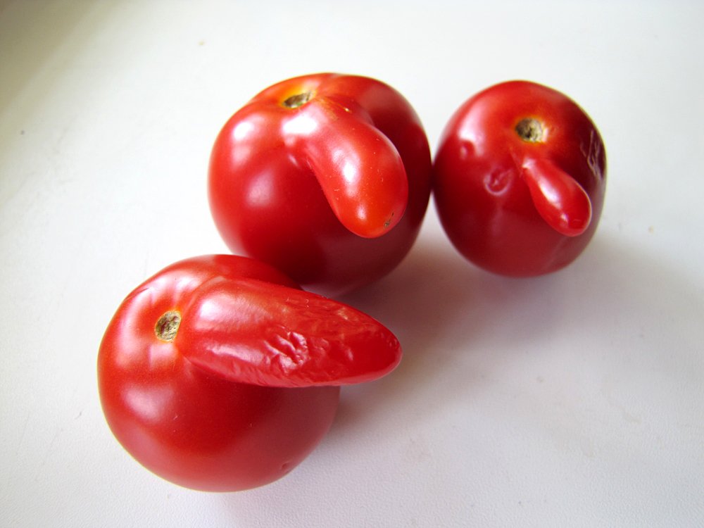 Три товарища.