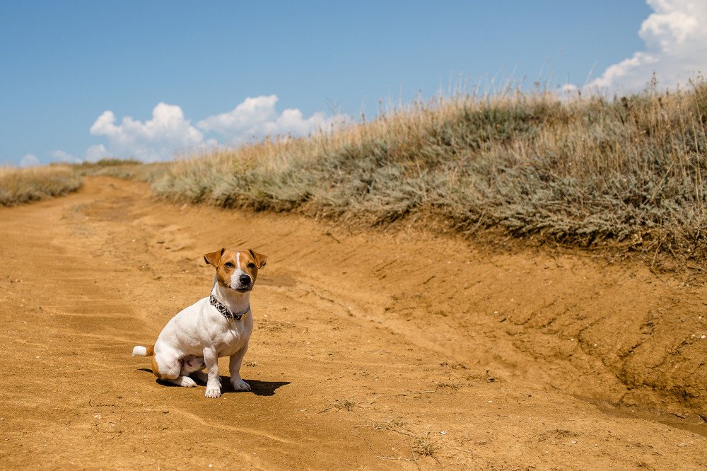 Photograph by Денис Токмаков