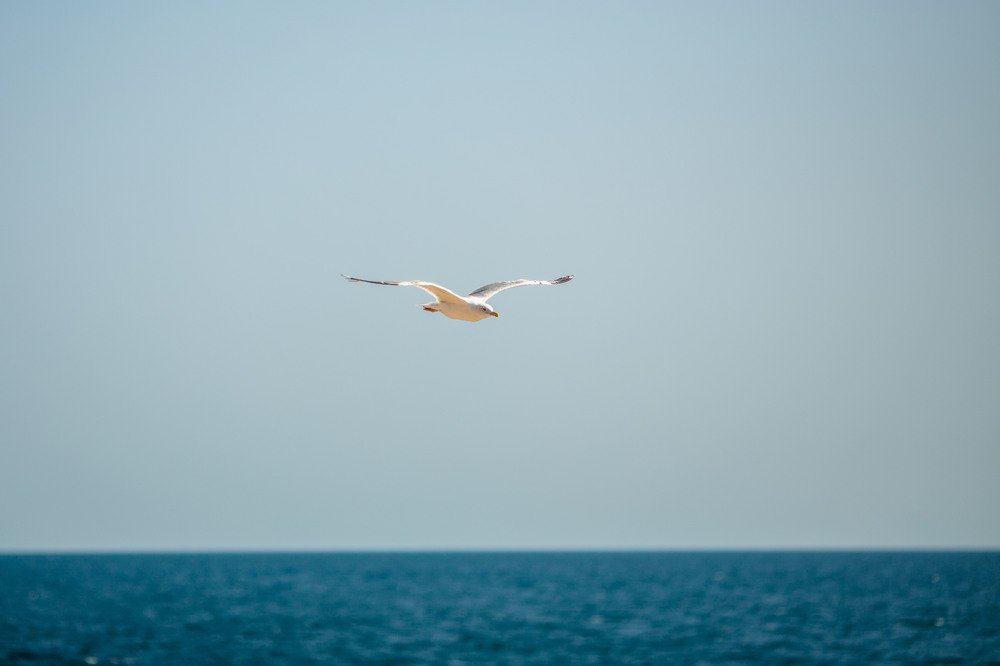 Photograph by Денис Токмаков